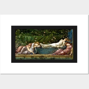 Sleeping Beauty - Little Briar Rose - Edward Burne-Jones Posters and Art